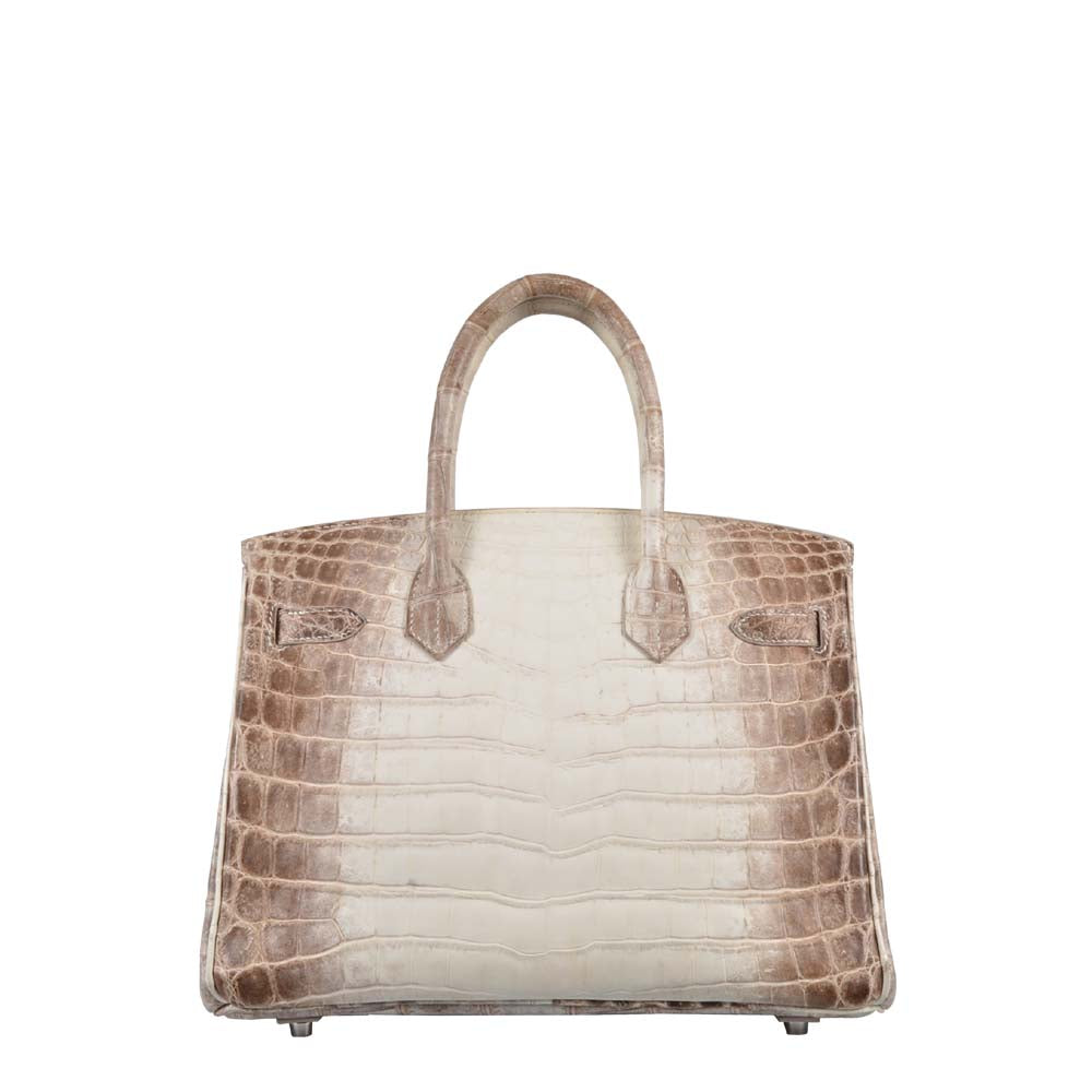 Hermes Birkin 30 Himalayan BACK Kopie