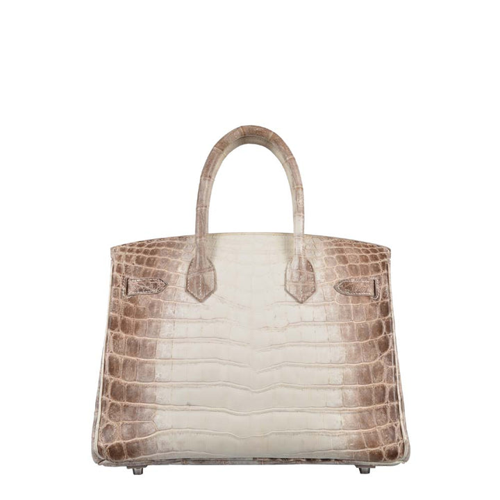 Hermes Birkin 30 Himalayan BACK Kopie