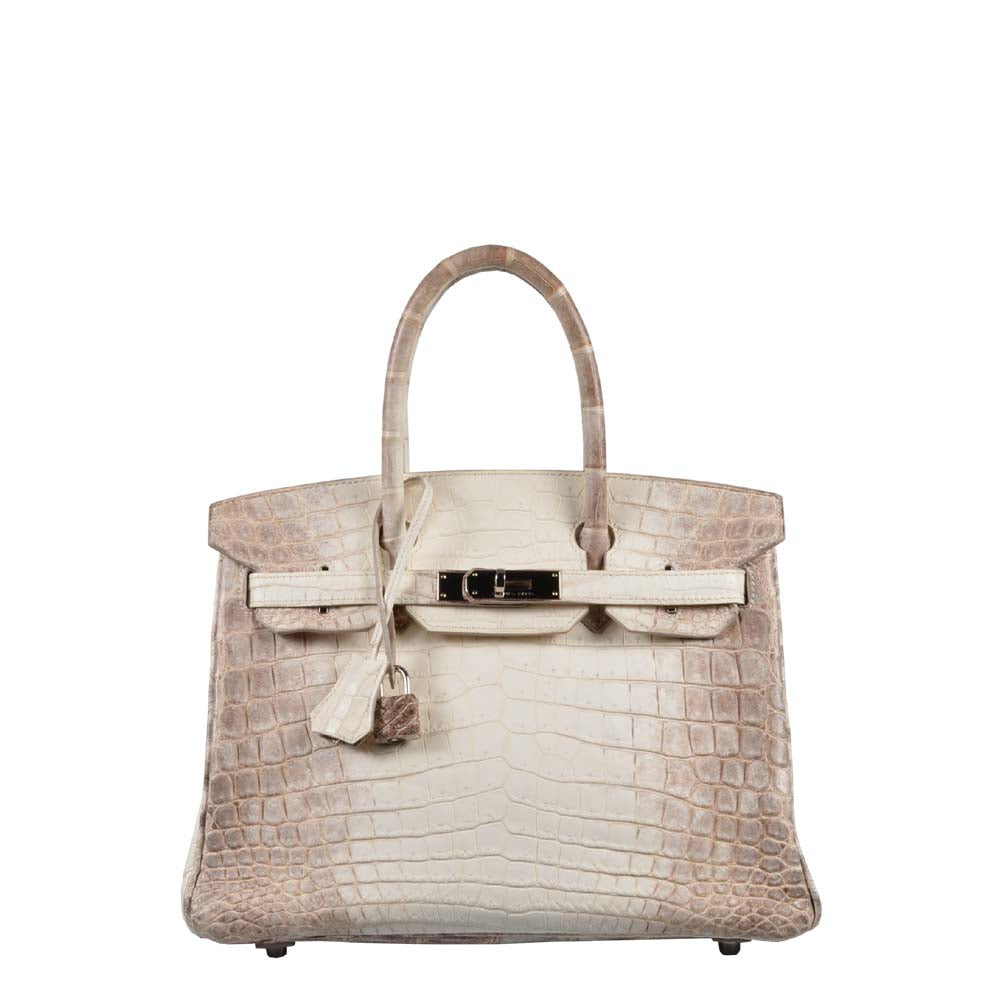 Hermes Birkin 30 Himalaya Niloticus Leder Blanc Hardware Palladium