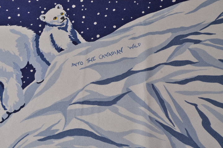 Hermes Carre Seidentuch into the canadian world silk cloth