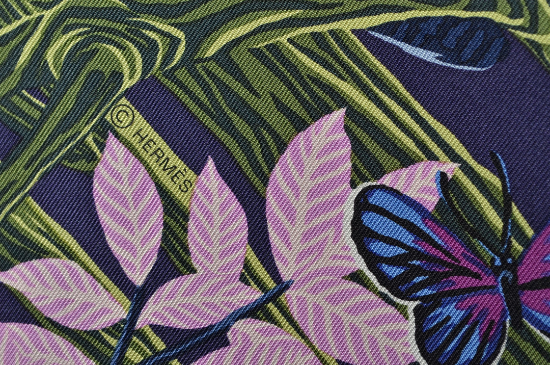 Hermes Carre Seidentuch into the canadian world silk cloth