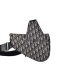 Dior Oblique Saddle Bag Canvas Monogram Stein Marine Hardware Silber